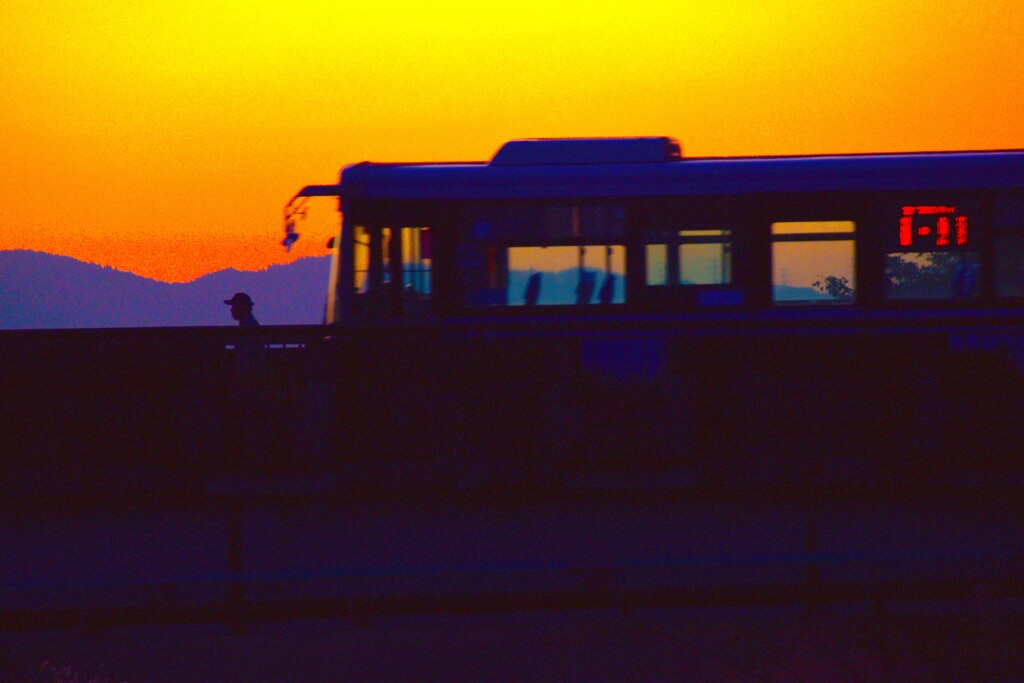 夕方路線バス