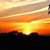 夕日