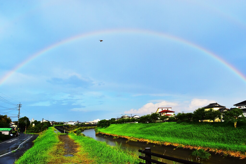 東の空（鳥と虹）