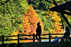 池畔の紅葉