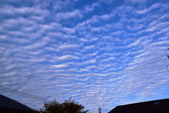 ひつじ雲