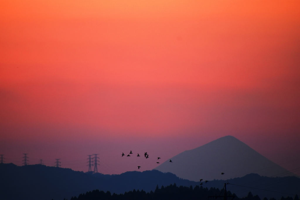 夜景
