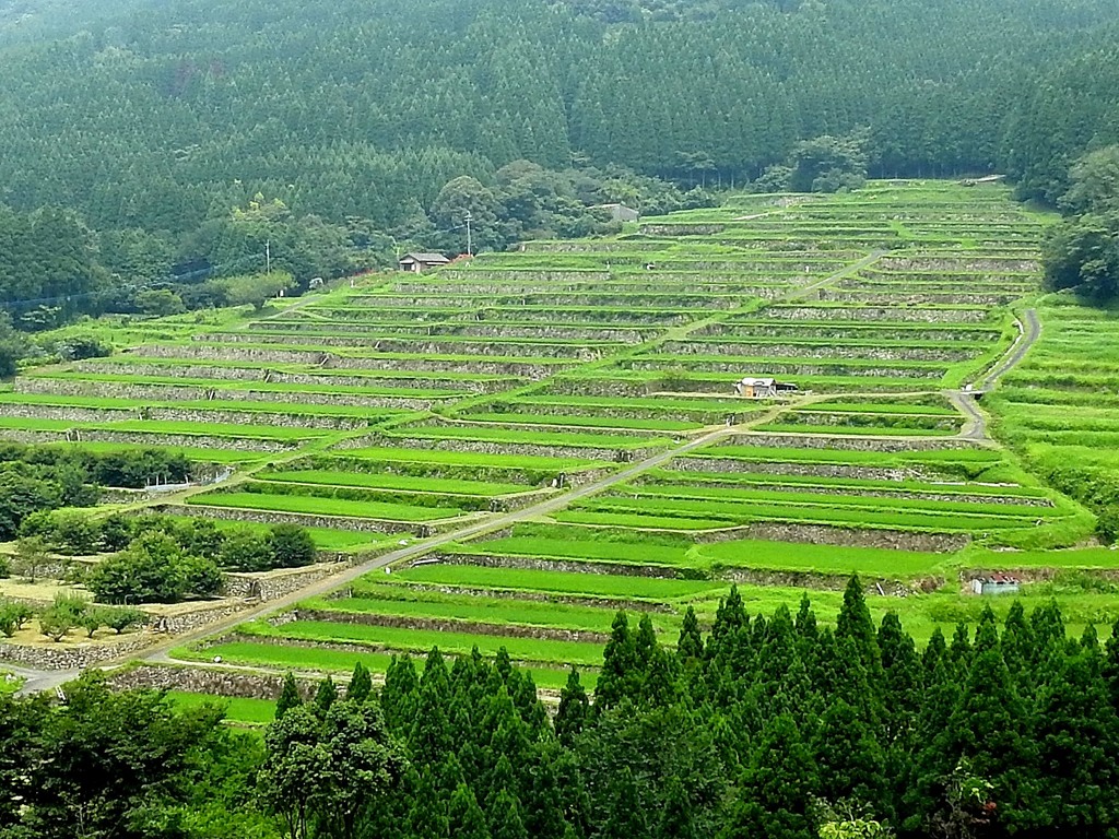 坂元棚田