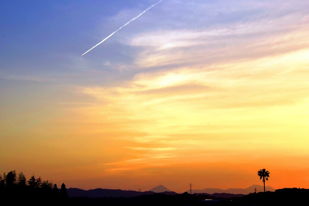  夕陽