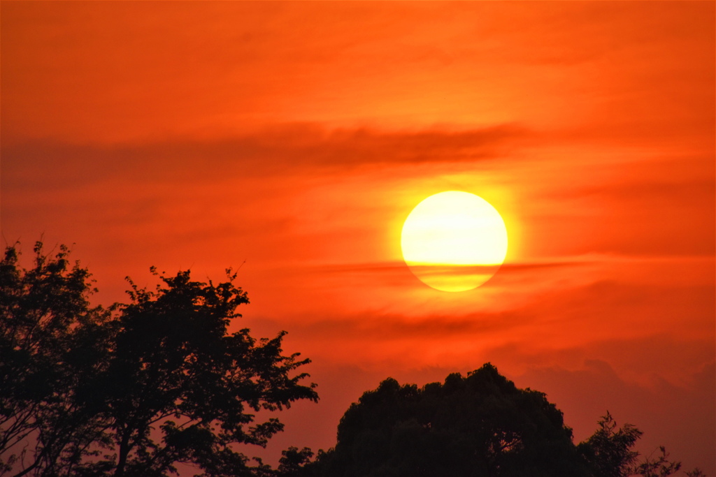 昨日の夕陽