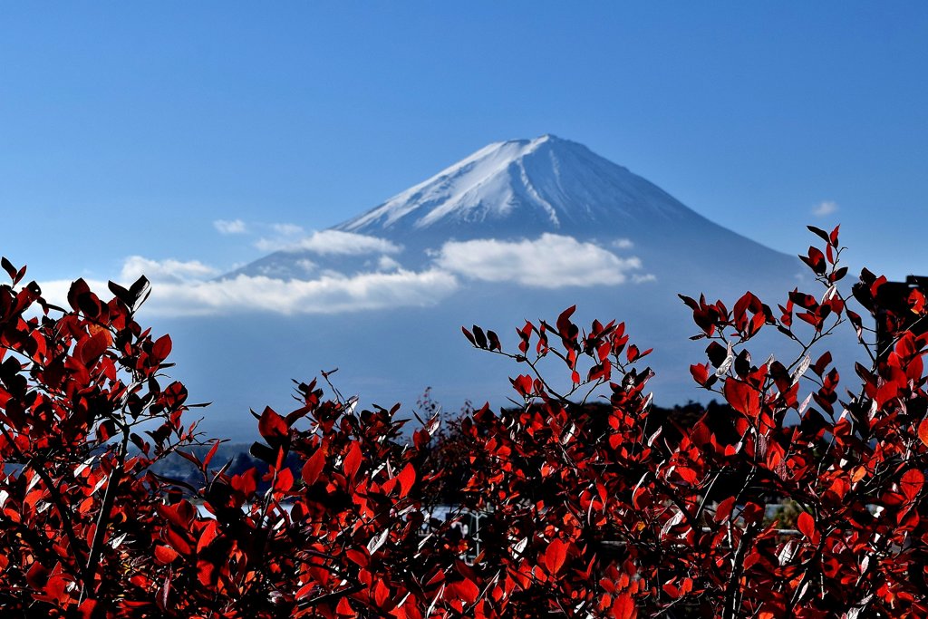 富士山