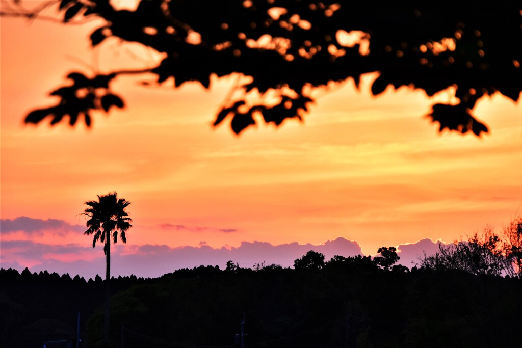 夕景