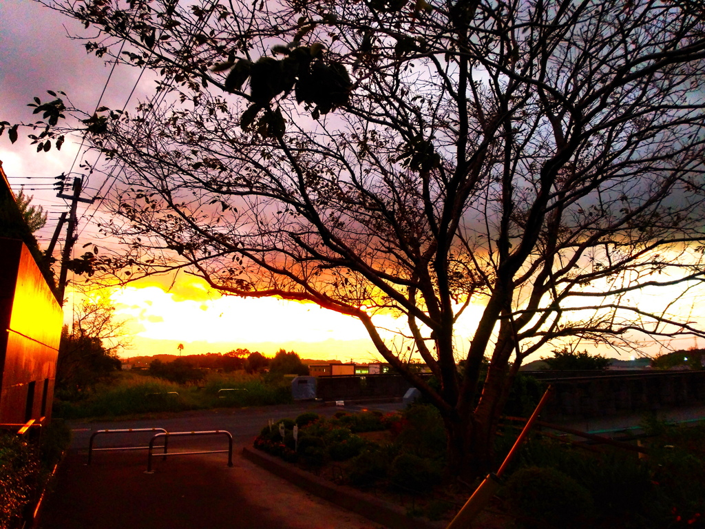 夕暮れ時