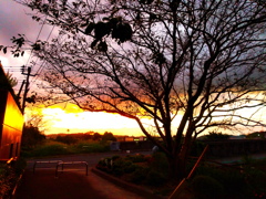 夕暮れ時