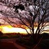 夕暮れ時