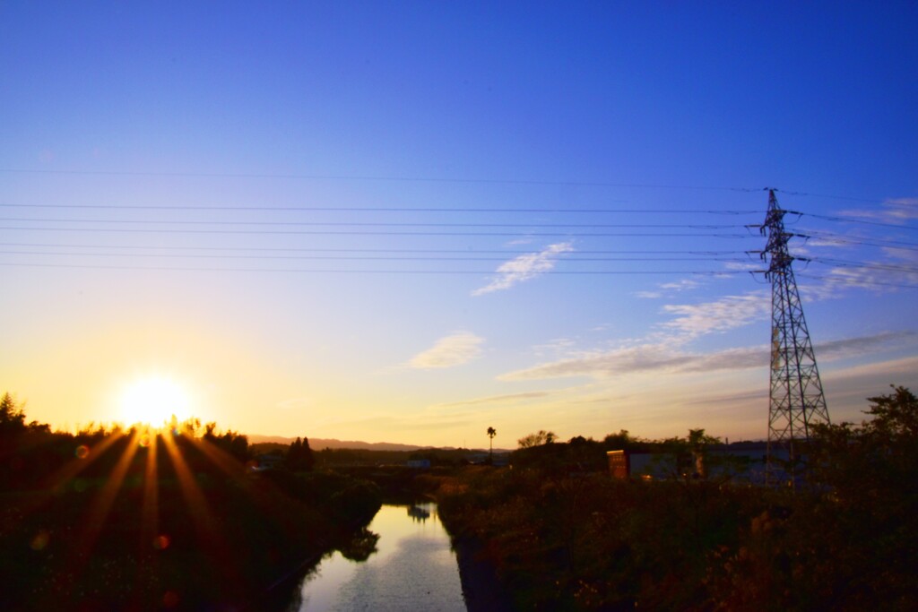 昨日の夕方散歩
