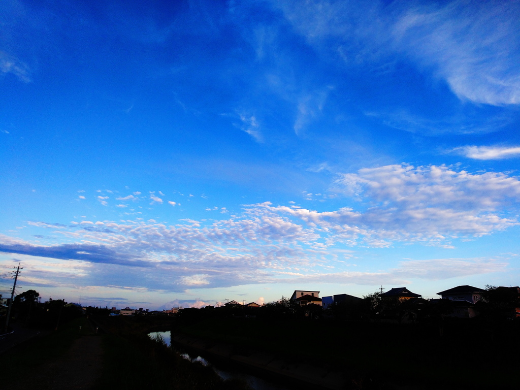 夕方散歩