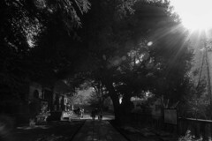 湯島聖堂を歩く