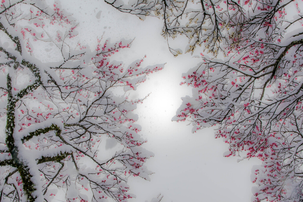 寒さを感じながら