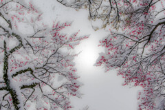 寒さを感じながら