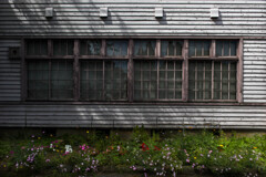 校舎の花壇