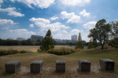 屋上の浮游の庭から