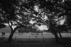 週末のトレーニング