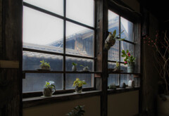 tokoname show window