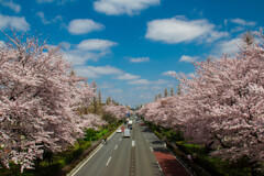 春の空