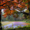 autumn straight course