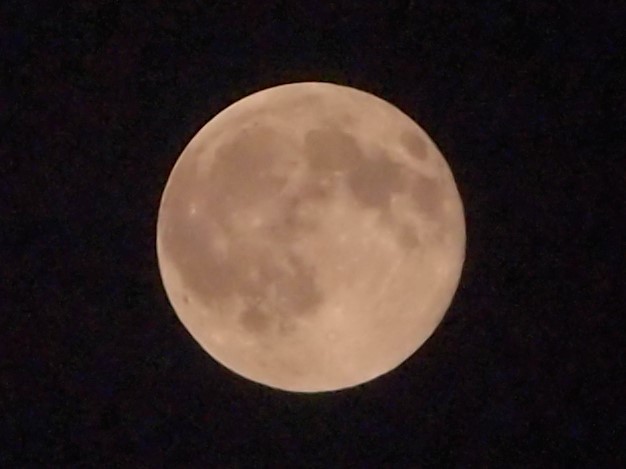 moon 