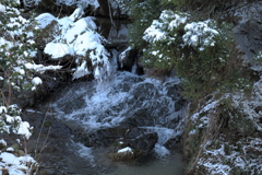 IMG_8058
