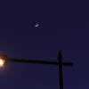 月街灯金星