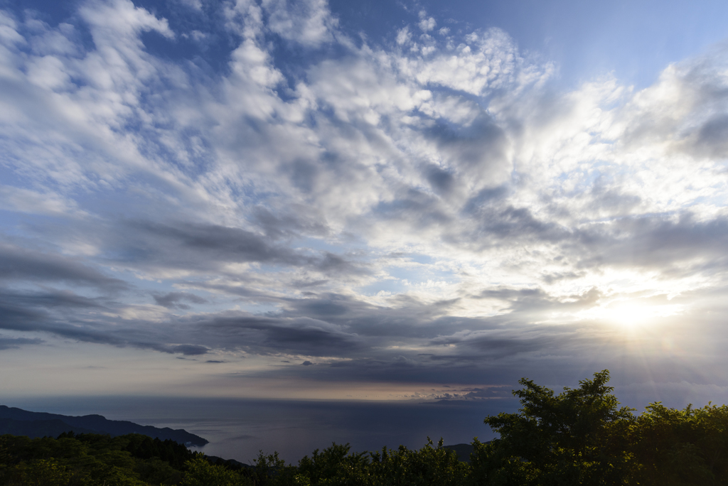 駿河湾