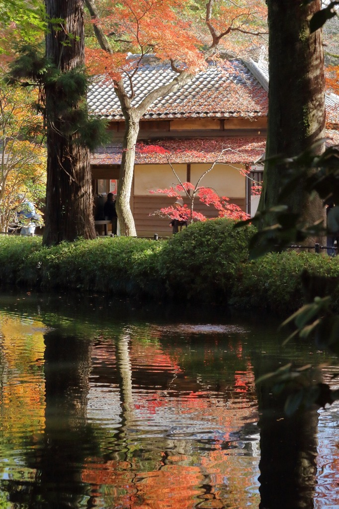 平林寺の紅葉