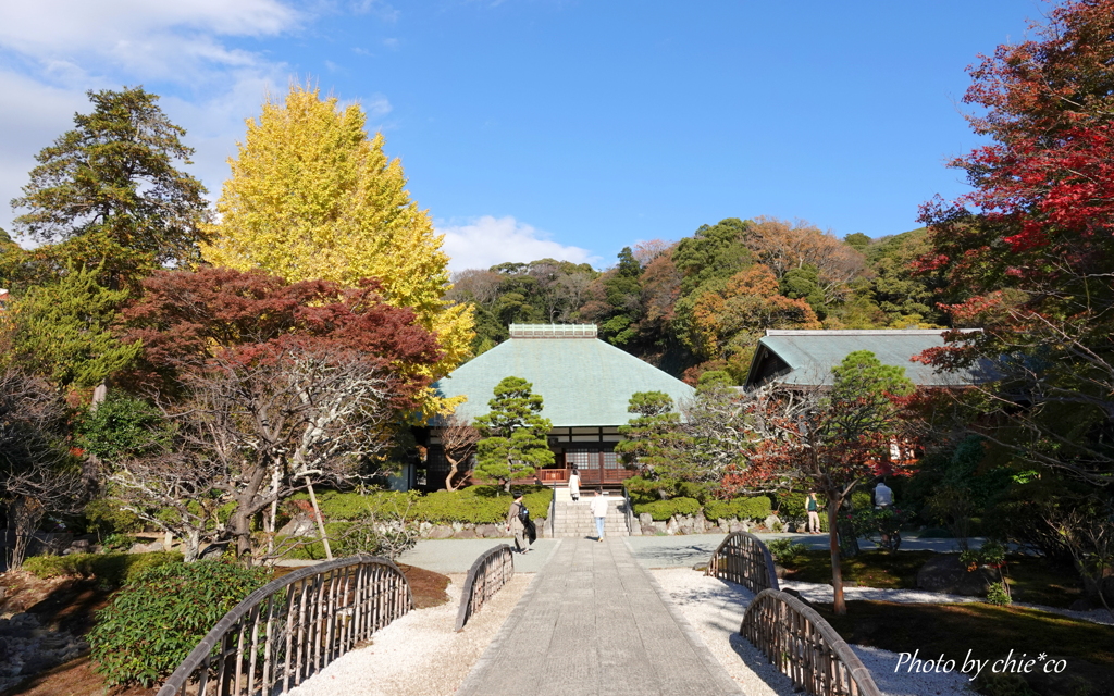 鎌倉 浄妙寺-006