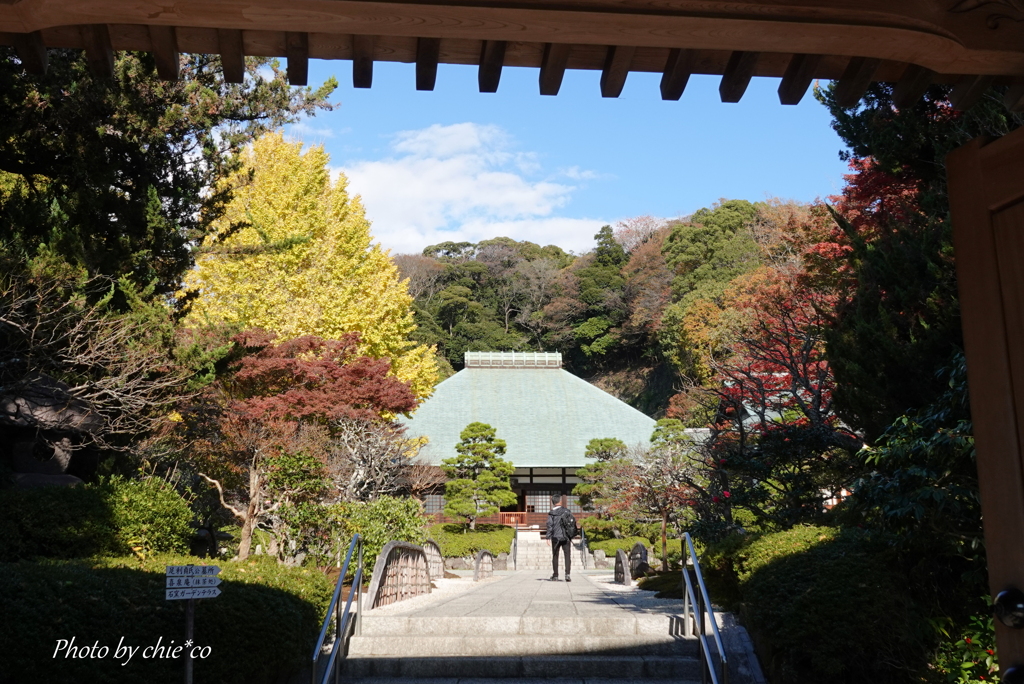 鎌倉 浄妙寺-005