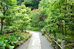 円覚寺-240
