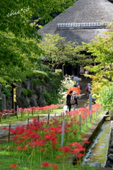西方寺-161