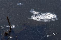 氷化粧～久良岐公園-140