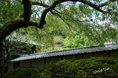 北鎌倉-331