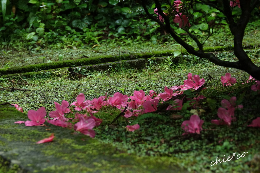東慶寺-251