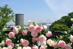 アメリカ山公園-045