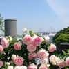 アメリカ山公園-045
