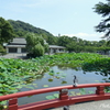 鎌倉-175