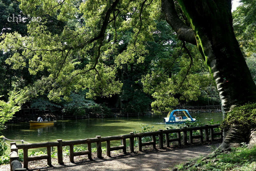 吉祥寺-160