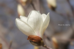 港の見える丘公園-178