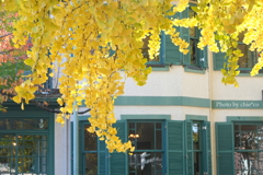 山手イタリア山庭園-156