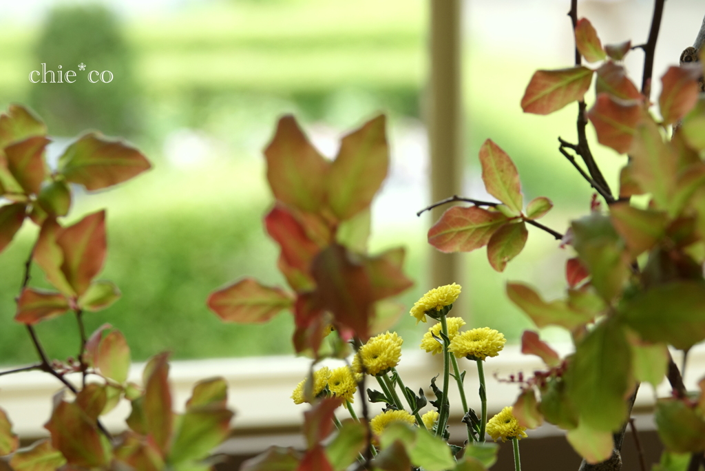 花と器のハーモニー2019-372