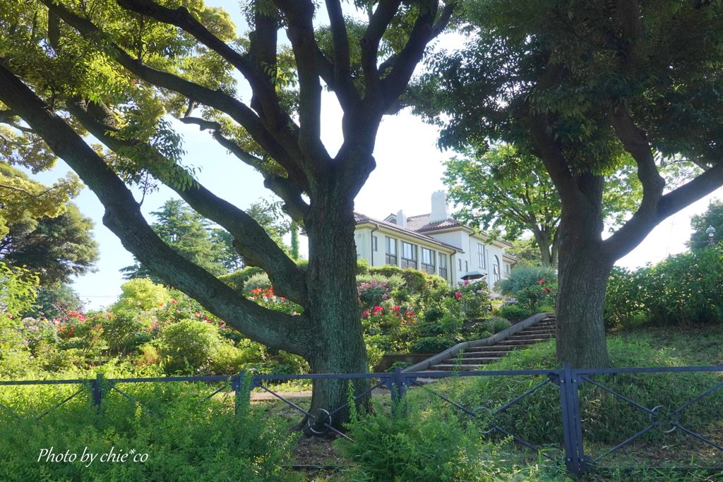 港の見える丘公園-173