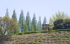 山手イタリア山庭園-134
