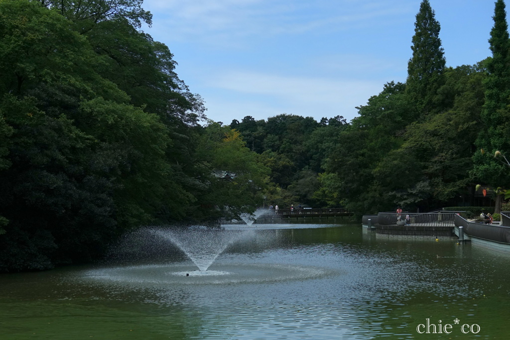 噴水のある風景・・