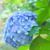 鎌倉-132