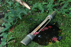 三渓園-420