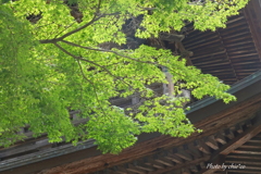 北鎌倉-166
